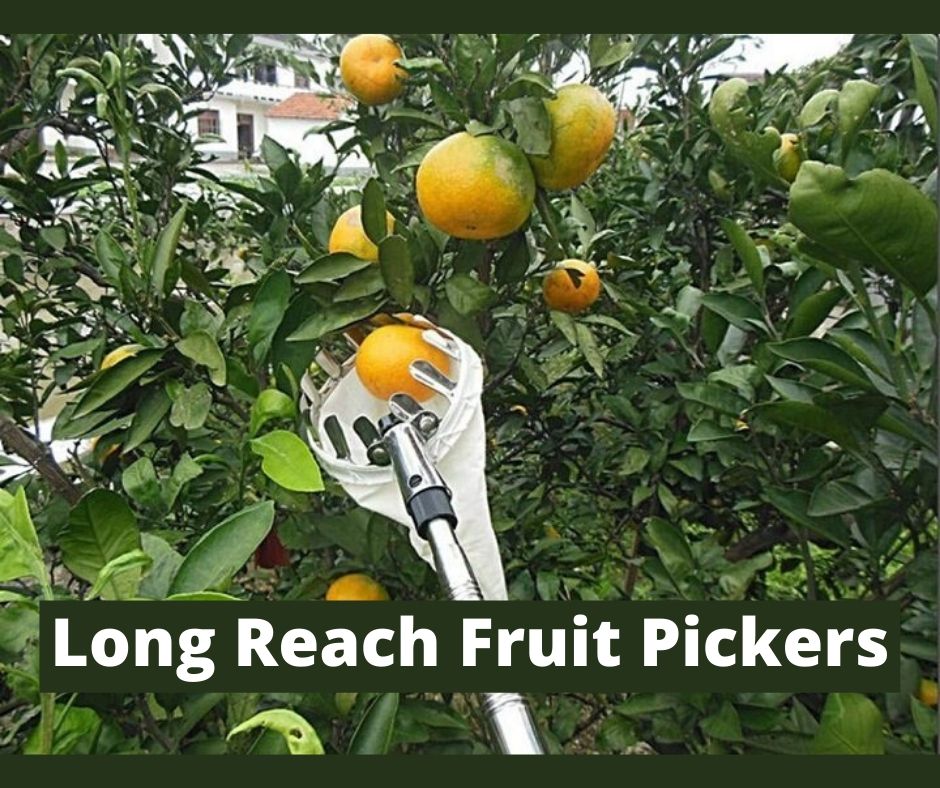 long reach fruit pickers